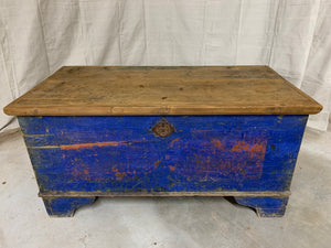 Pine Trunk with Blue Base