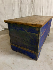 Pine Trunk with Blue Base